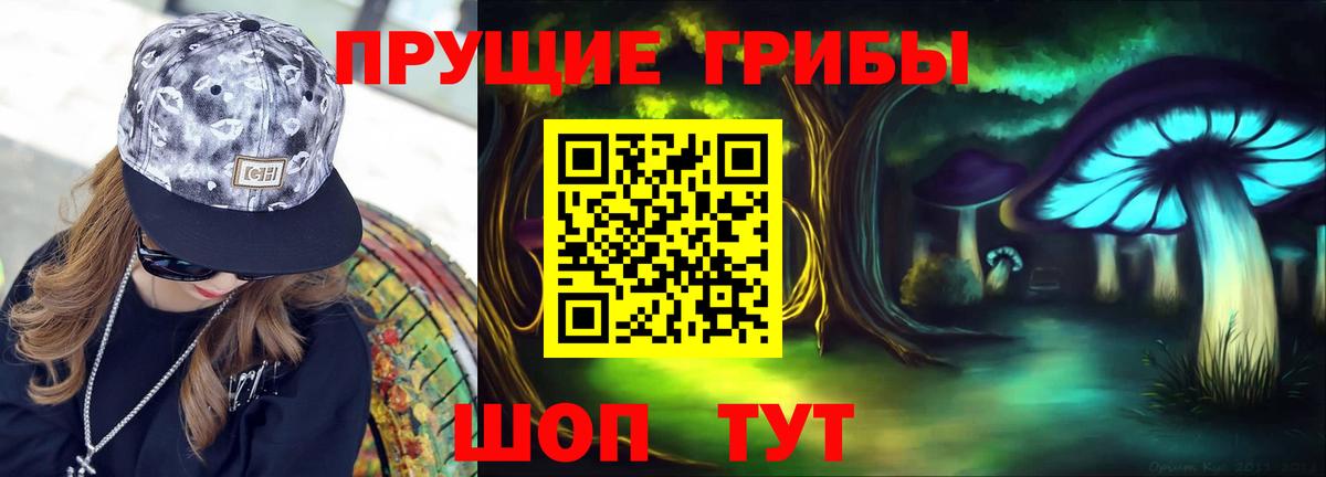 Пушкино  Галлюциногенные грибы Psilocybine cubensis  Псилоцибиновые грибы Psilocybine cubensis  наркошоп  Вход с VPN 